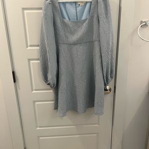 Light blue long sleeved teacup dress
